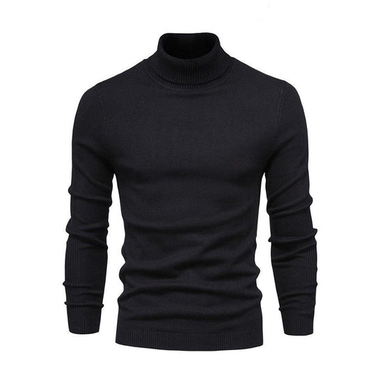 Pull Col Roulé en Laine Mérinos