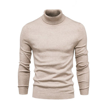 Pull Col Roulé en Laine Mérinos